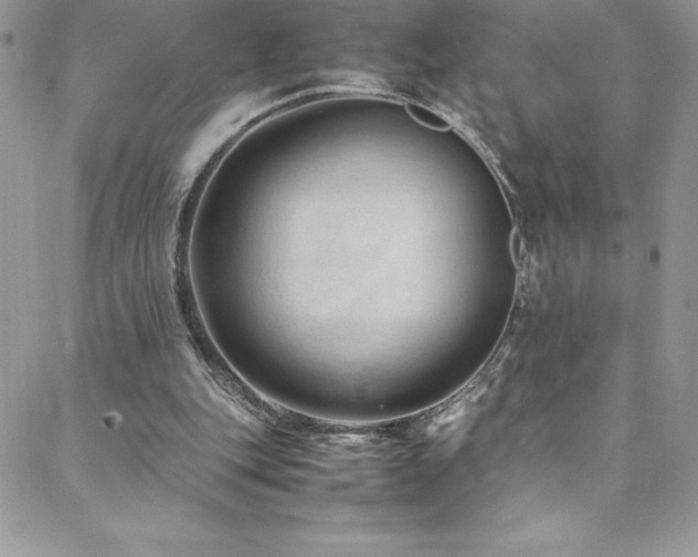 X0000088600151200705251223