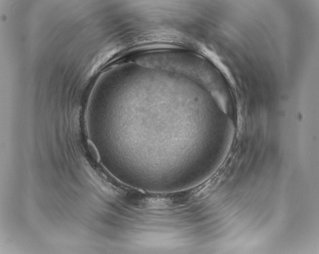 X0000088600154200705251223