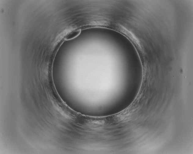 X0000088600155200705251223