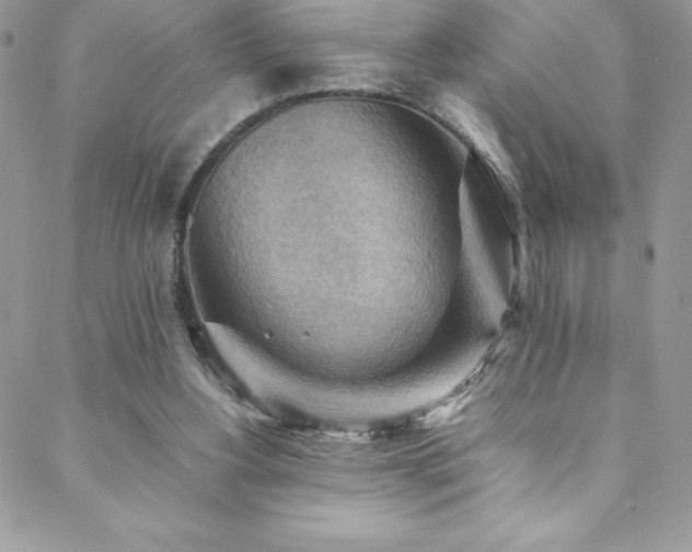 X0000088600156200705251223