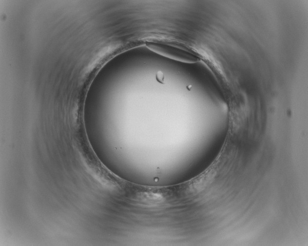 X0000088600159200705251223