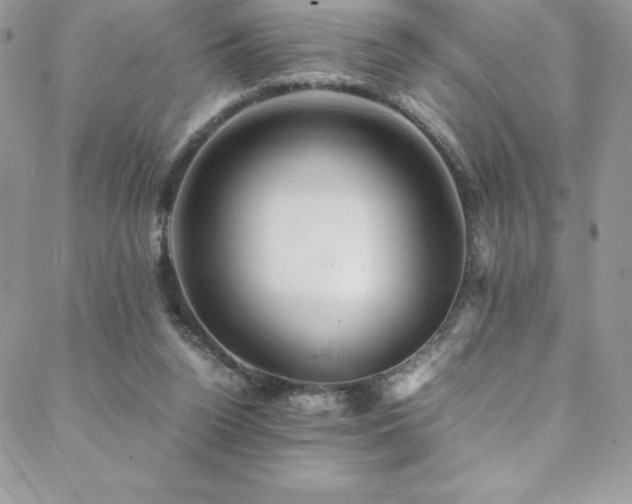 X0000088600160200705251223