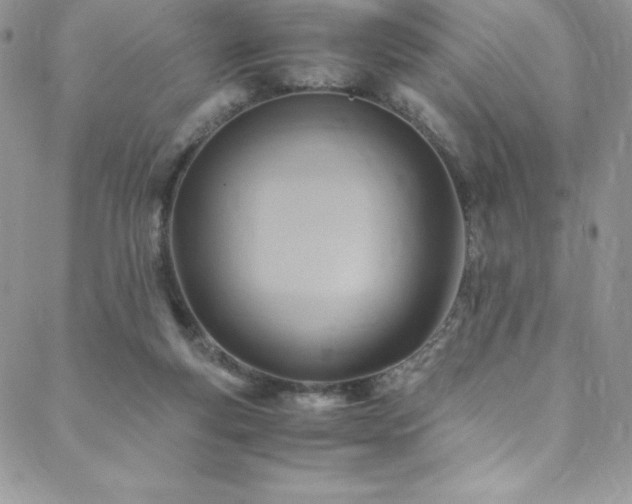 X0000088600163200705251223