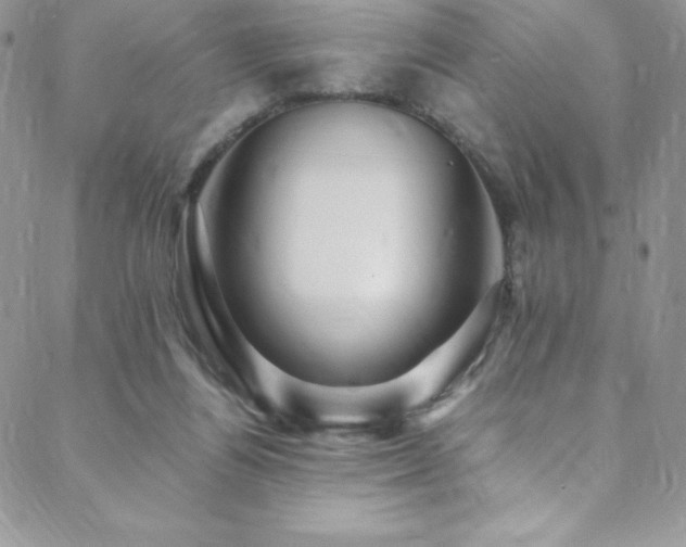 X0000088600164200705251223