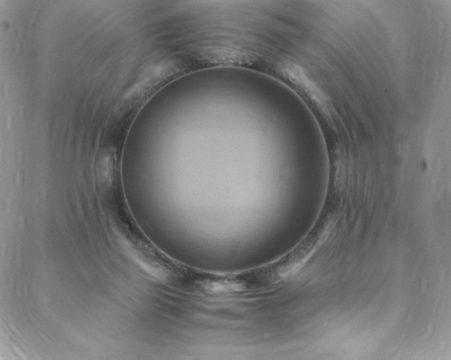 X0000088600165200705251223