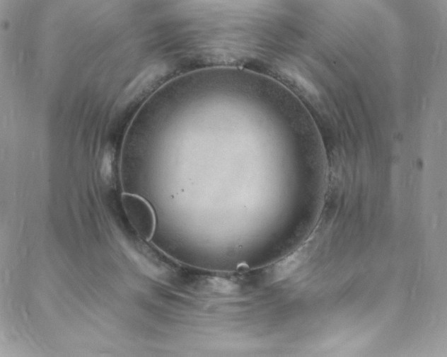 X0000088600166200705251223