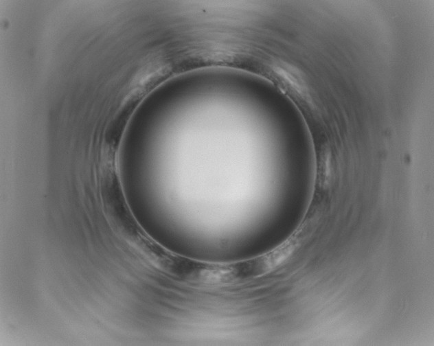 X0000088600172200705251223