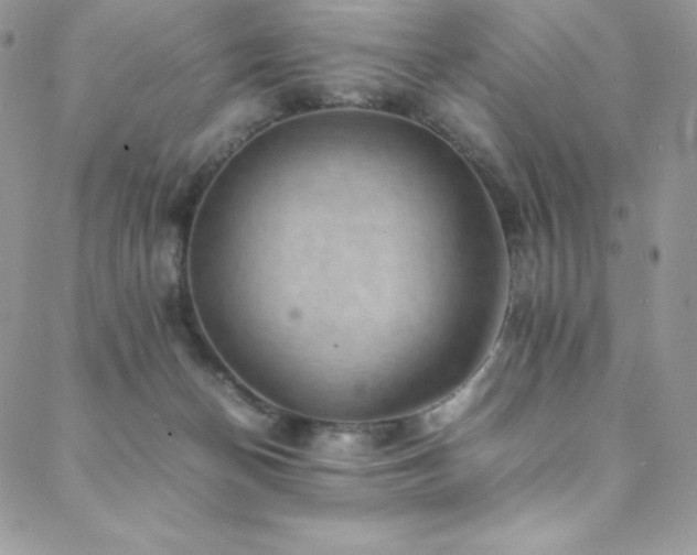 X0000088600174200705251223