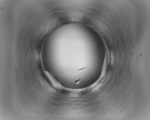 X0000088600176200705251223