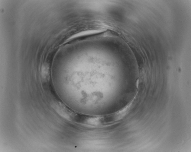 X0000088600178200705251223