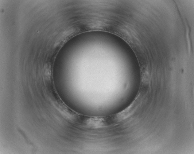 X0000088600179200705251223