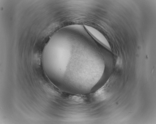 X0000088600180200705251223