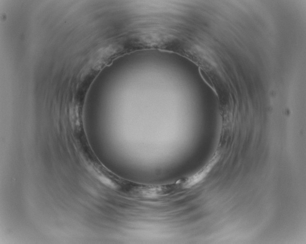 X0000088600182200705251223