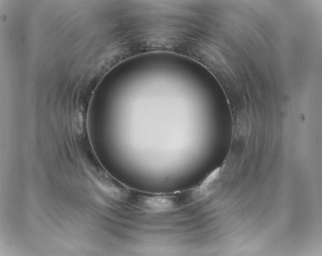 X0000088600183200705251223