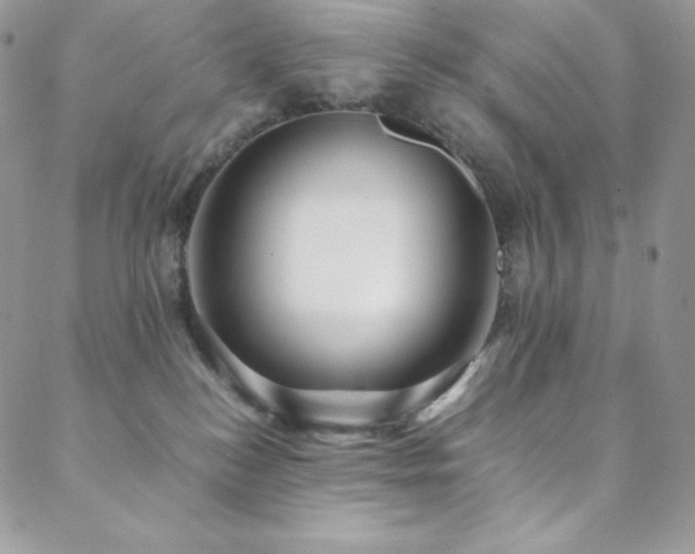 X0000088600184200705251223