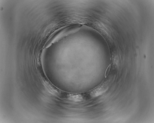 X0000088600185200705251223