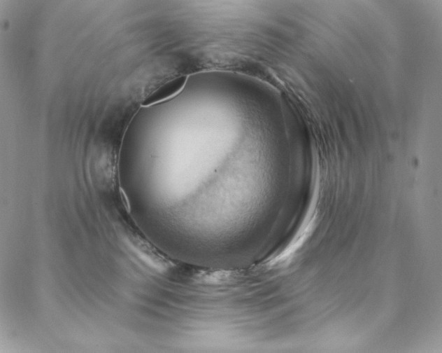 X0000088600186200705251223