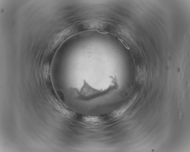 X0000088600189200705251223