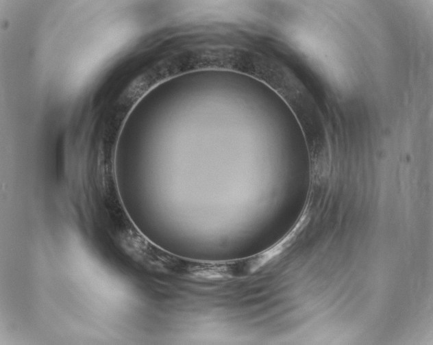 X0000088600191200705251223