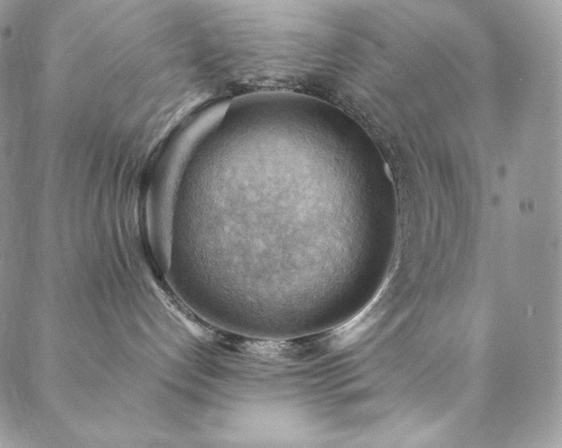 X0000088600192200705251223