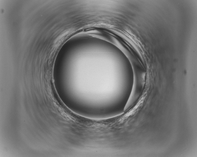 X0000088600193200705251222