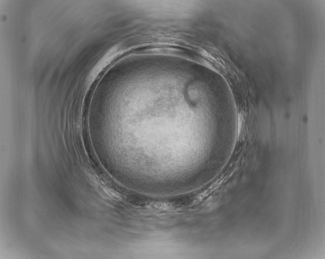 X0000088600195200705251222