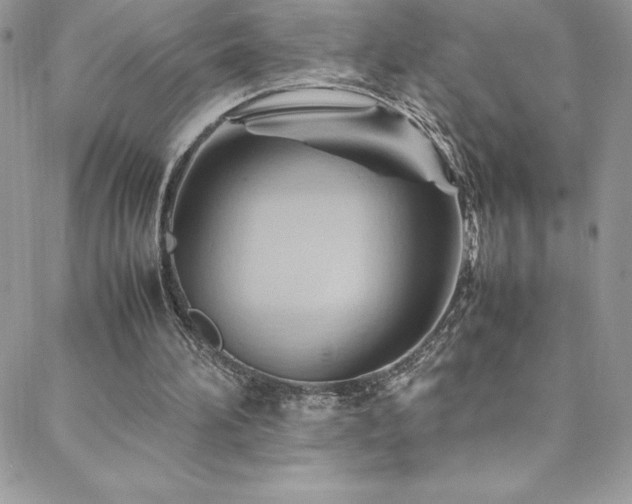 X0000088600196200705251222