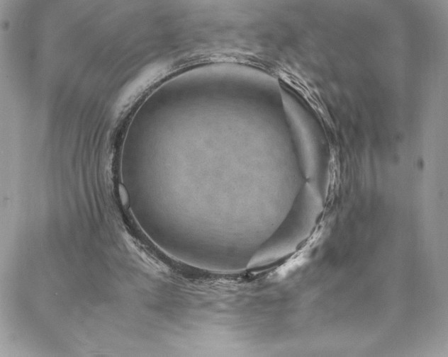 X0000088600197200705251222