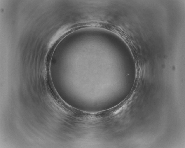 X0000088600198200705251222