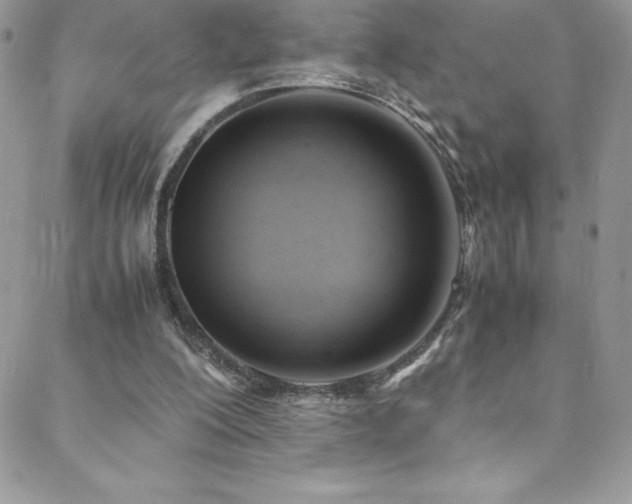 X0000088600200200705251222