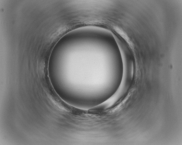 X0000088600201200705251222