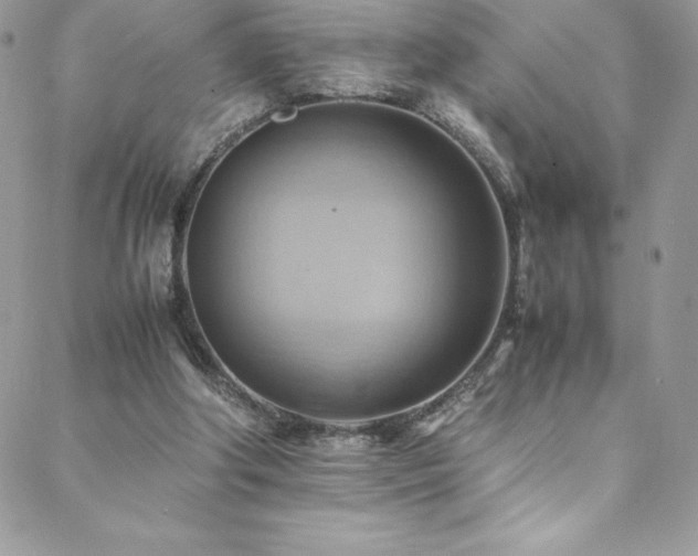 X0000088600202200705251222