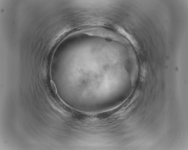 X0000088600203200705251222