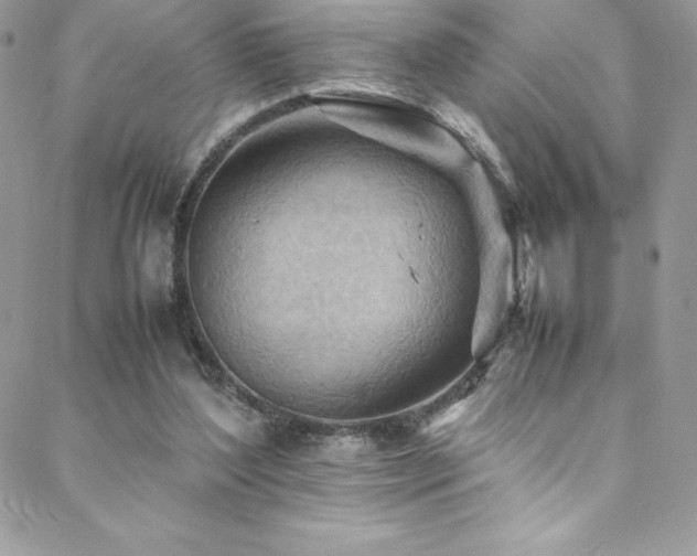 X0000088600204200705251222