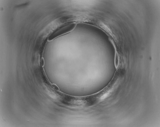 X0000088600205200705251222