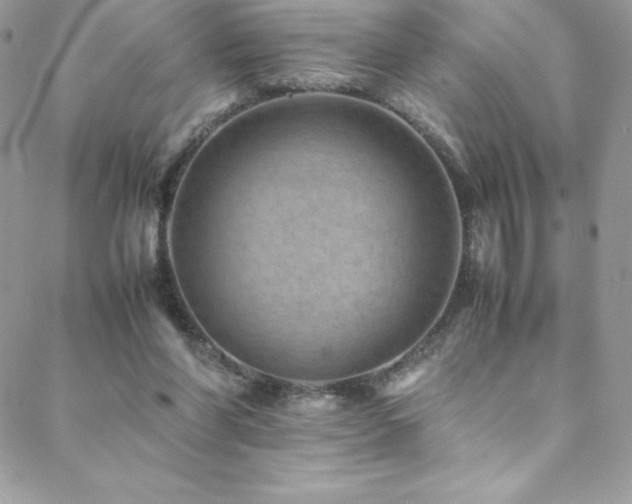 X0000088600206200705251222