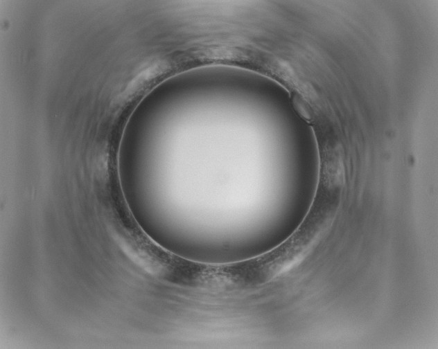 X0000088600207200705251222