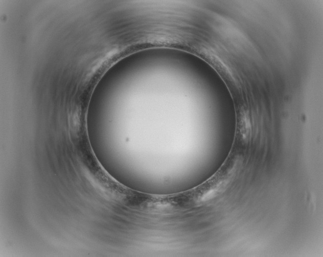 X0000088600208200705251222