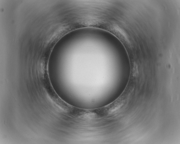 X0000088600210200705251222