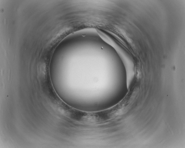 X0000088600211200705251222