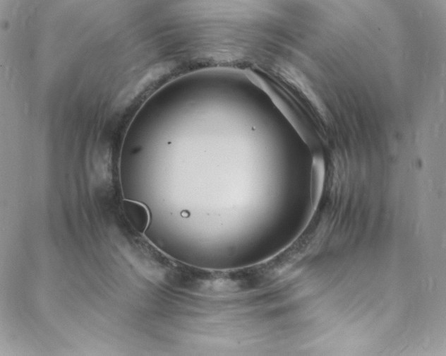 X0000088600212200705251222