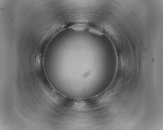 X0000088600214200705251222