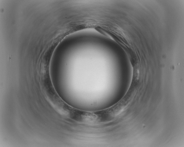 X0000088600215200705251222