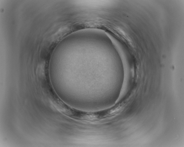 X0000088600217200705251222