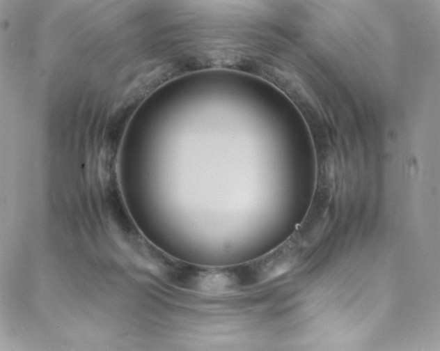 X0000088600218200705251222