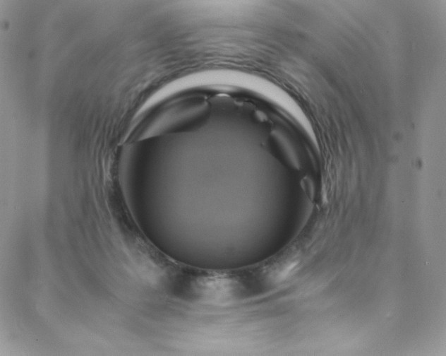 X0000088600219200705251222