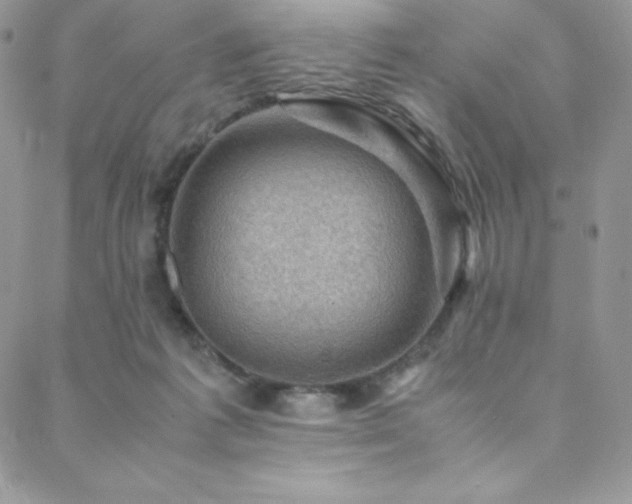 X0000088600221200705251222