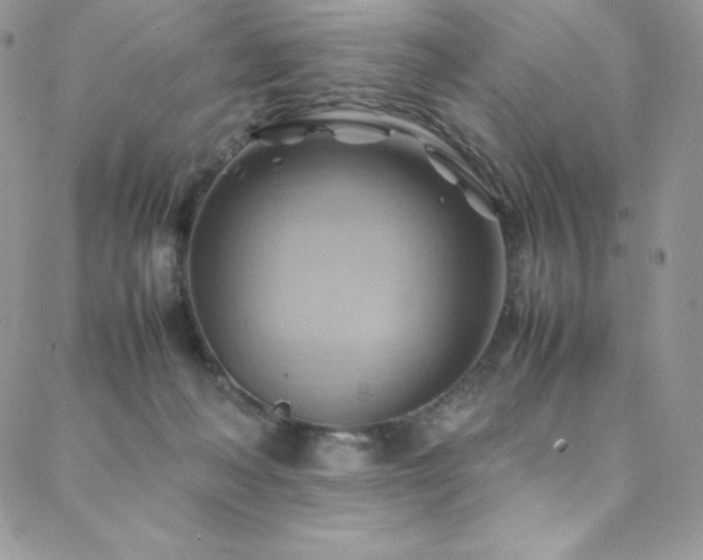 X0000088600222200705251222