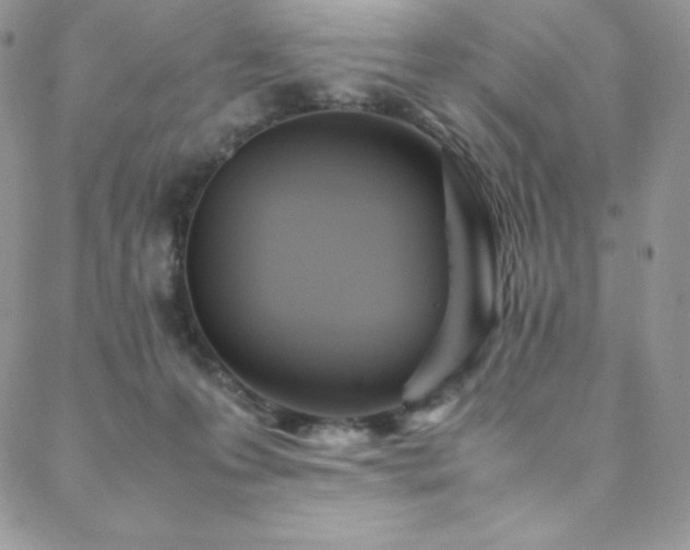 X0000088600223200705251222