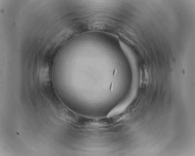 X0000088600224200705251222